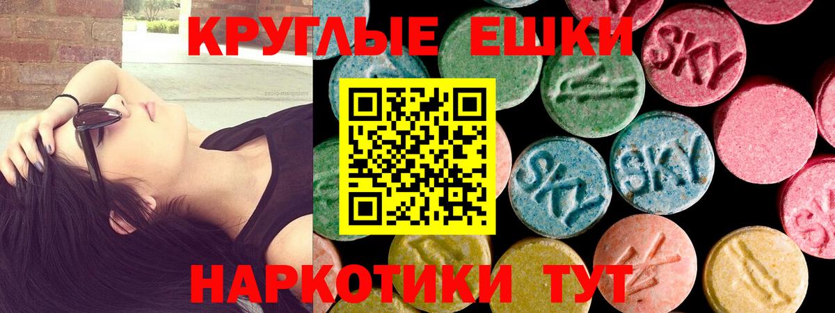 Ecstasy  Экстази Philipp Plein  Сухой Лог  Вход с VPN  Ecstasy круглые 