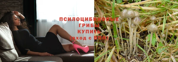твердый Абаза