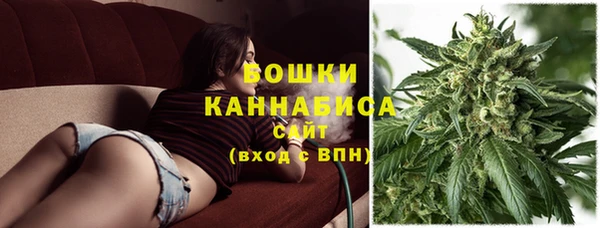 твердый Абаза