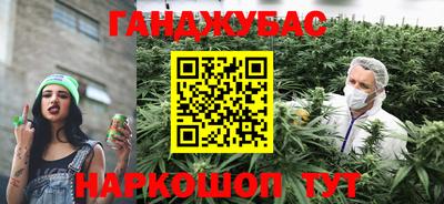 крисы Лесосибирск