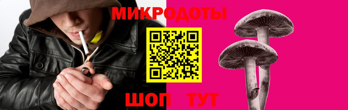 Сухой Лог  купить наркотик  Вход с VPN  Галлюциногенные грибы MAGIC MUSHROOMS  Псилоцибиновые грибы Cubensis 