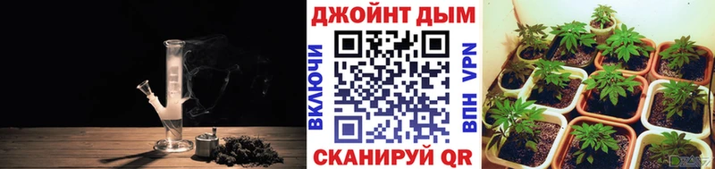 Канабис OG Kush  мориарти Telegram  Сухой Лог 